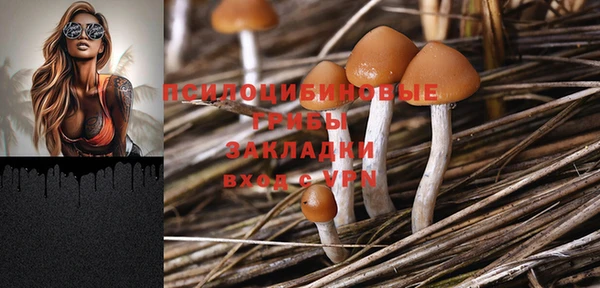 mix Верхний Тагил