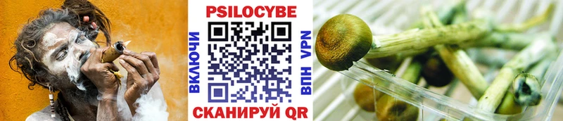 Галлюциногенные грибы GOLDEN TEACHER  Купить  Ардон 